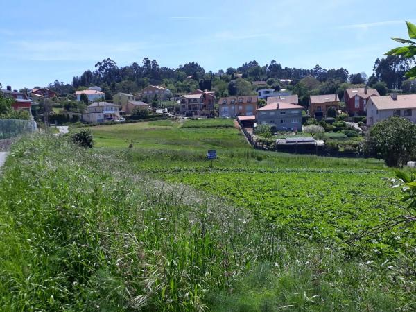 Terreno en calle Ras, 4