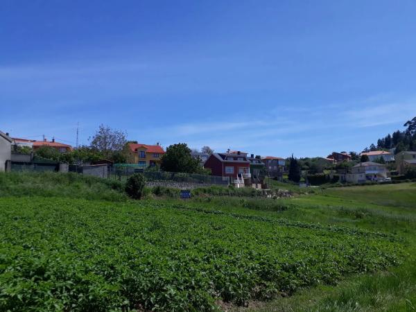 Terreno en calle Ras, 4