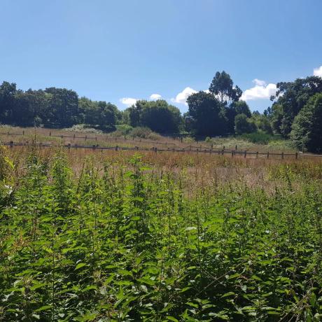 Terreno en Loureda-Lañas-Barrañán