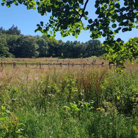 Terreno en Loureda-Lañas-Barrañán