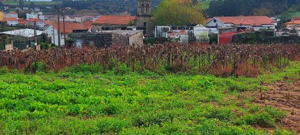 Terreno en Lugar de Laxe