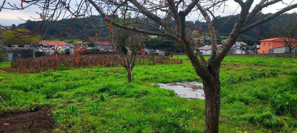 Terreno en Lugar de Laxe