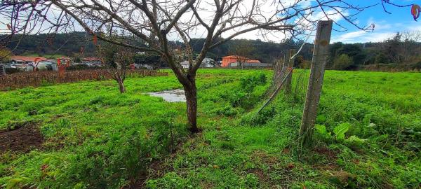Terreno en Lugar de Laxe