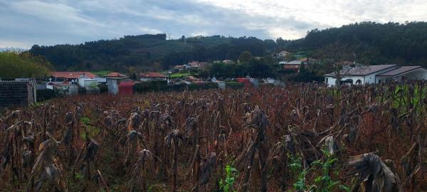 Terreno en Lugar de Laxe