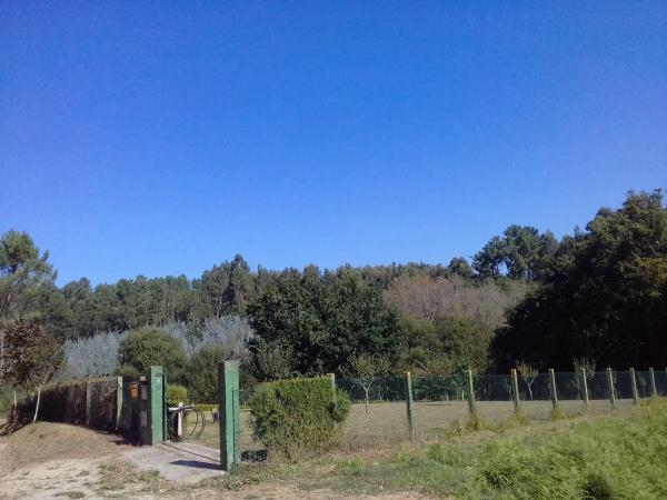 Terreno en Lugar Pagueira, 7