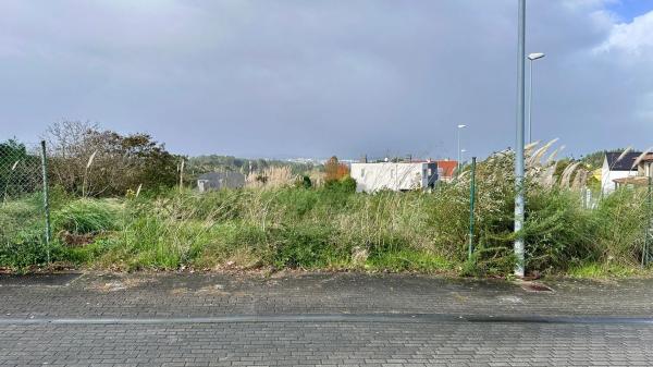 Terreno en calle Ecuador, km 1