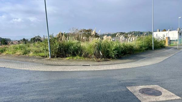 Terreno en calle Ecuador, km 1