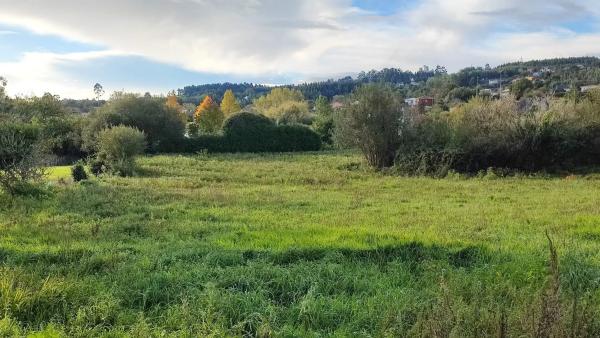 Terreno en Lugar de Carta, 42