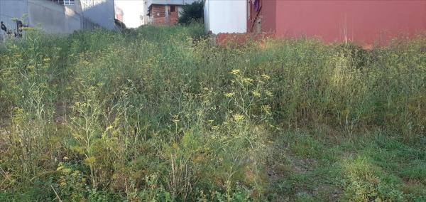 Terreno en avenida Pastoriza