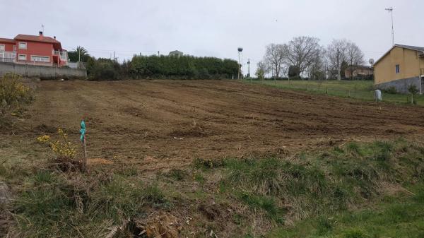 Terreno en Abegondo s/n Sn