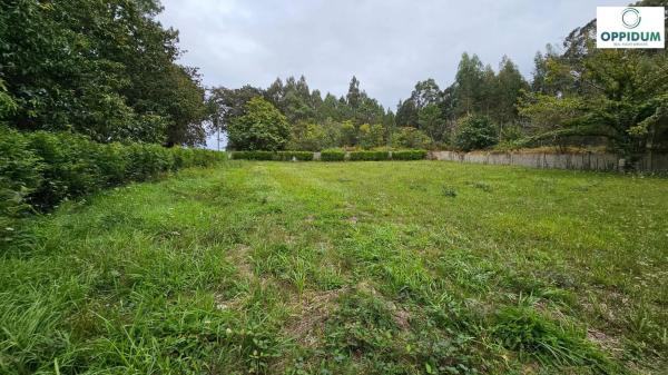 Terreno en Lugar Fortiñon