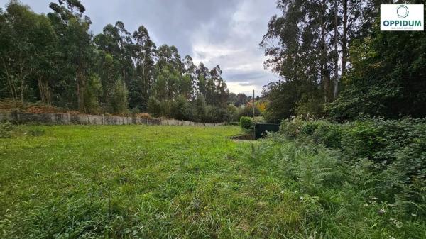 Terreno en Lugar Fortiñon