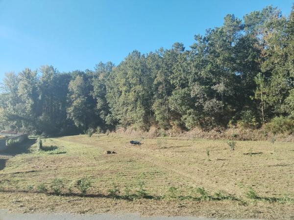 Terreno en avenida Mártires, 89