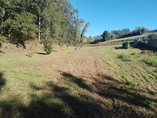 Terreno en avenida Mártires, 89