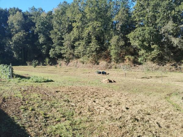 Terreno en avenida Mártires, 89