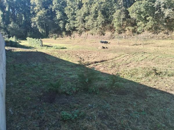 Terreno en avenida Mártires, 89