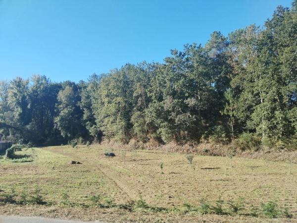Terreno en avenida Mártires, 89