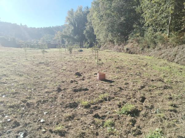Terreno en avenida Mártires, 89