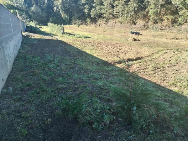 Terreno en avenida Mártires, 89