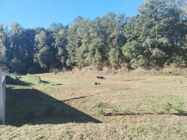 Terreno en avenida Mártires, 89