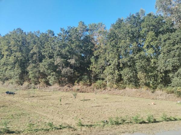 Terreno en avenida Mártires, 89