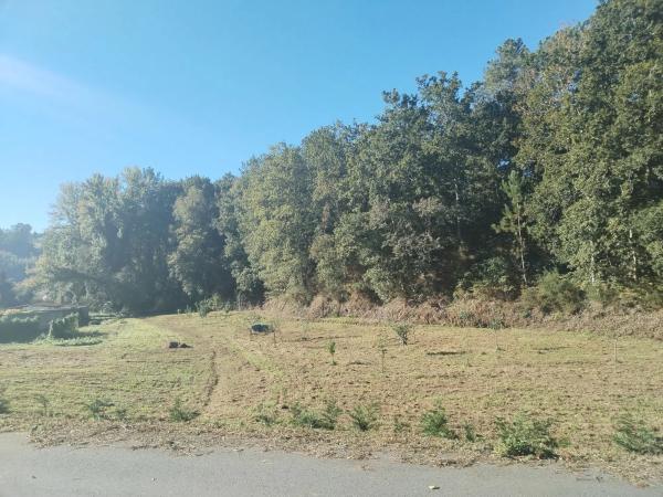 Terreno en avenida Mártires, 89