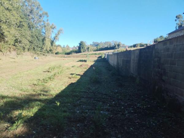 Terreno en avenida Mártires, 89