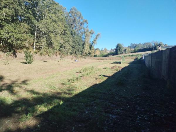 Terreno en avenida Mártires, 89