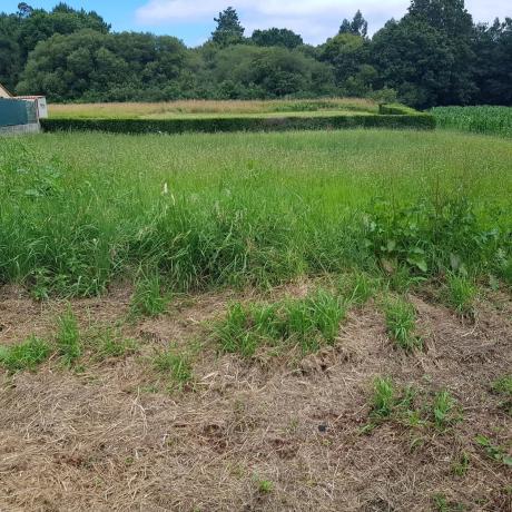 Terreno en San Pedro De Nos