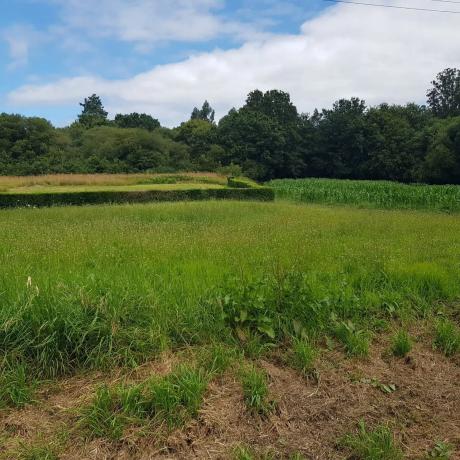 Terreno en San Pedro De Nos