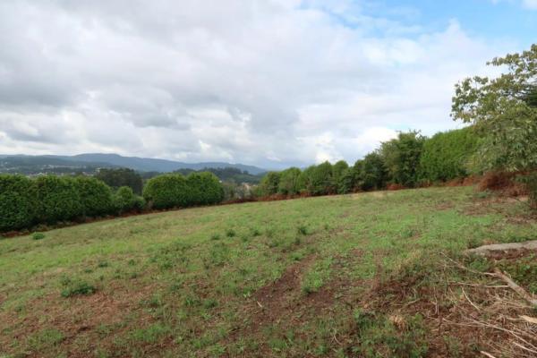 Terreno en calle Sixto