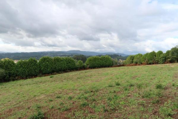 Terreno en calle Sixto