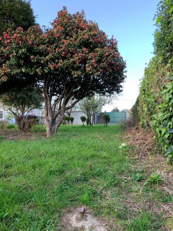 Terreno en calle Rosalía de Castro, 7