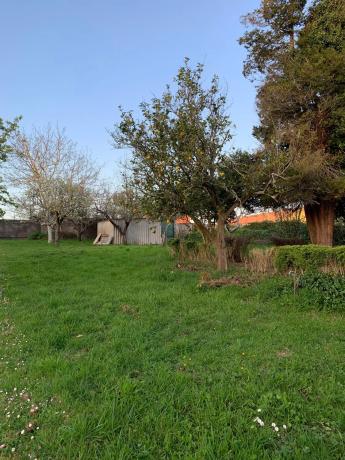 Terreno en calle Rosalía de Castro, 7