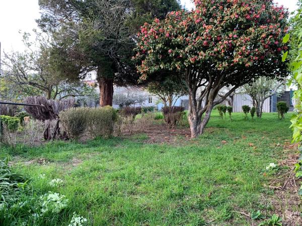 Terreno en calle Rosalía de Castro, 7