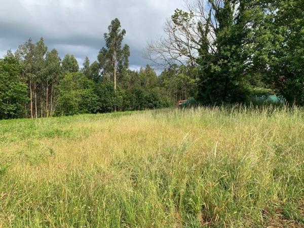 Terreno en Pison, 24