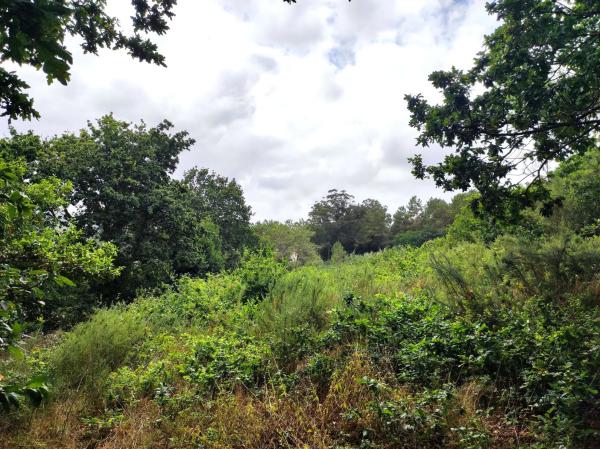 Terreno en nabeiras
