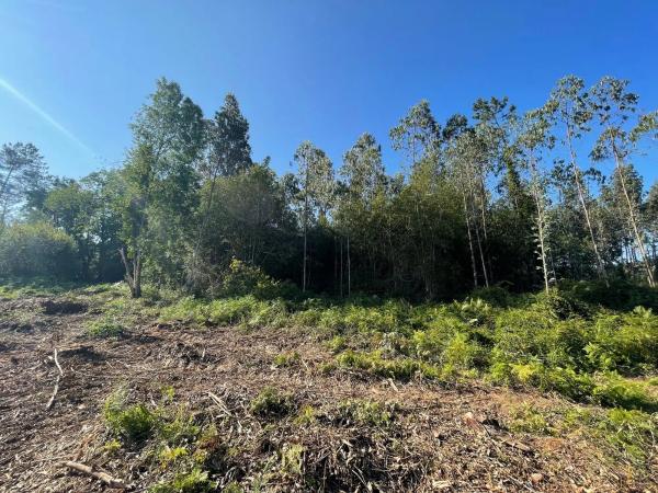 Terreno en Agra Bergondo, 408 Parcela