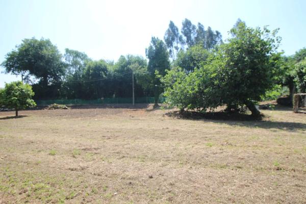 Terreno en Lugar Quintan, 15