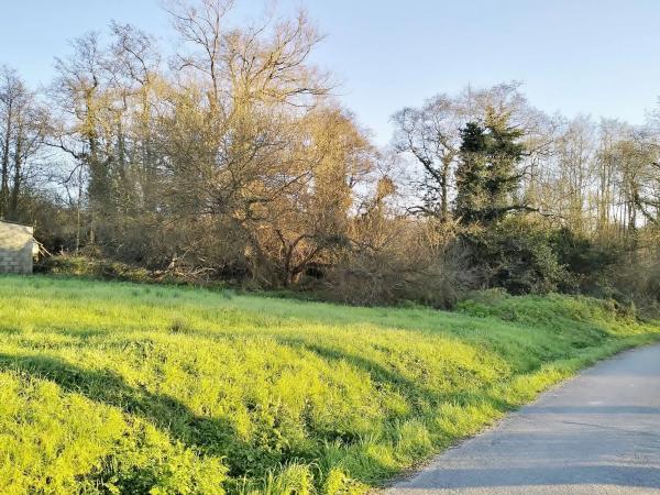 Terreno en avenida Salvador Allende