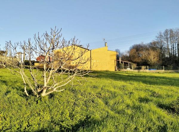 Terreno en avenida Salvador Allende
