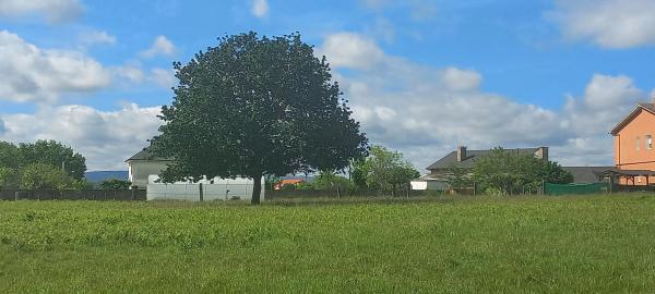 Terreno en calle Pombo