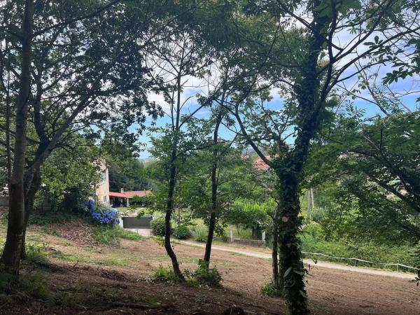 Terreno en Punta Canide s/n