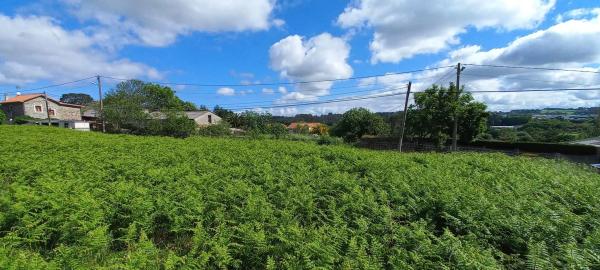 Terreno en calle Pombo