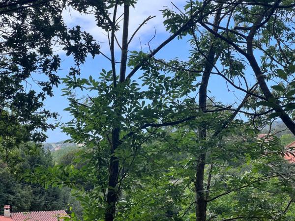 Terreno en Punta Canide s/n