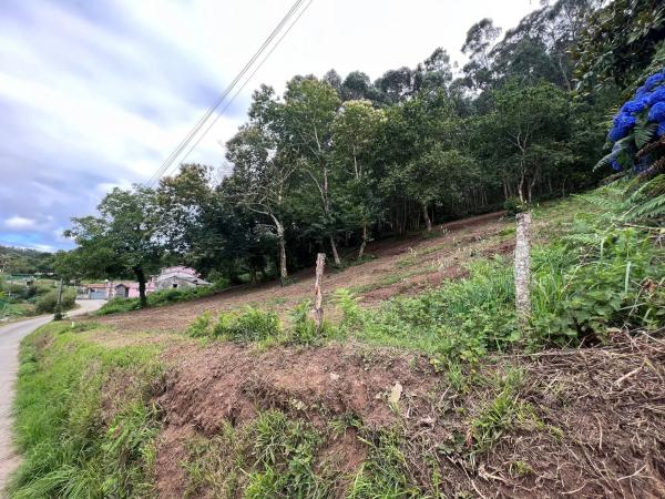 Terreno en Punta Canide s/n