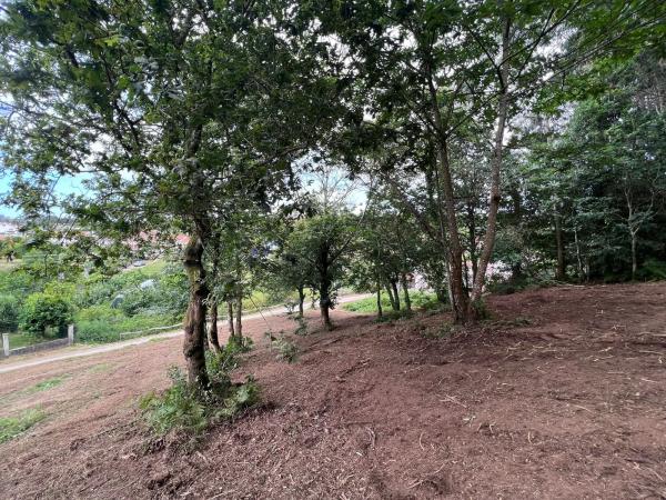 Terreno en Punta Canide s/n