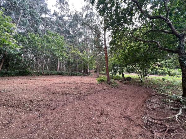 Terreno en Punta Canide s/n