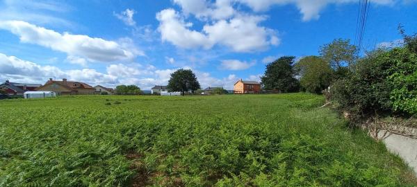 Terreno en calle Pombo
