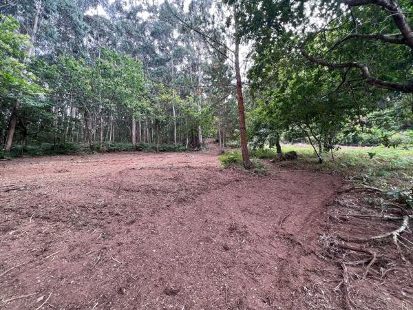 Terreno en Punta Canide s/n